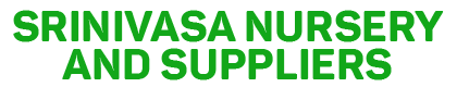 Srinivasa Nursery